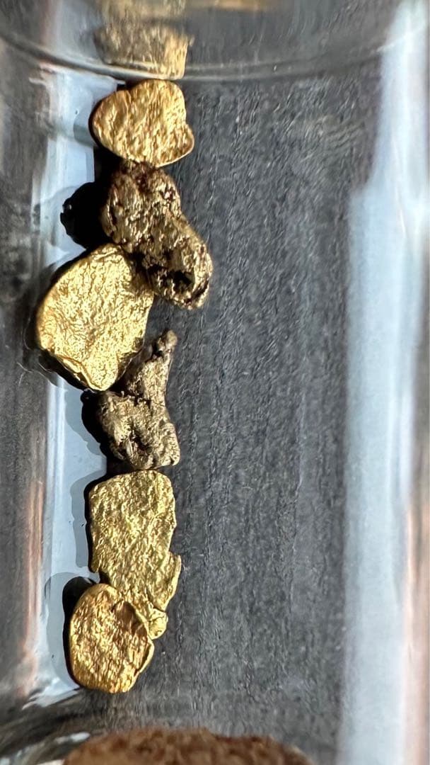 自然採取 金粒（粒状・不定形）観賞・資料用