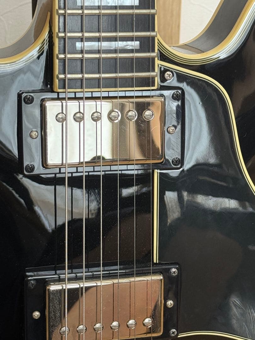 Epiphone Shinichi Ubukata ES-355 生形真一