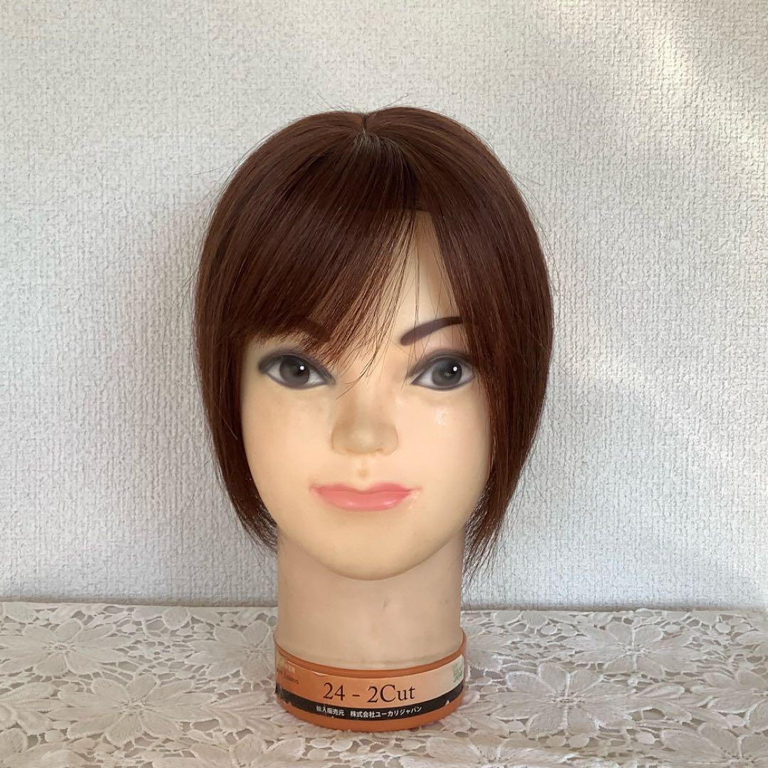 人毛100%総手植え 医療用 部分ウィッグ ヘアピース ブラックブラウン