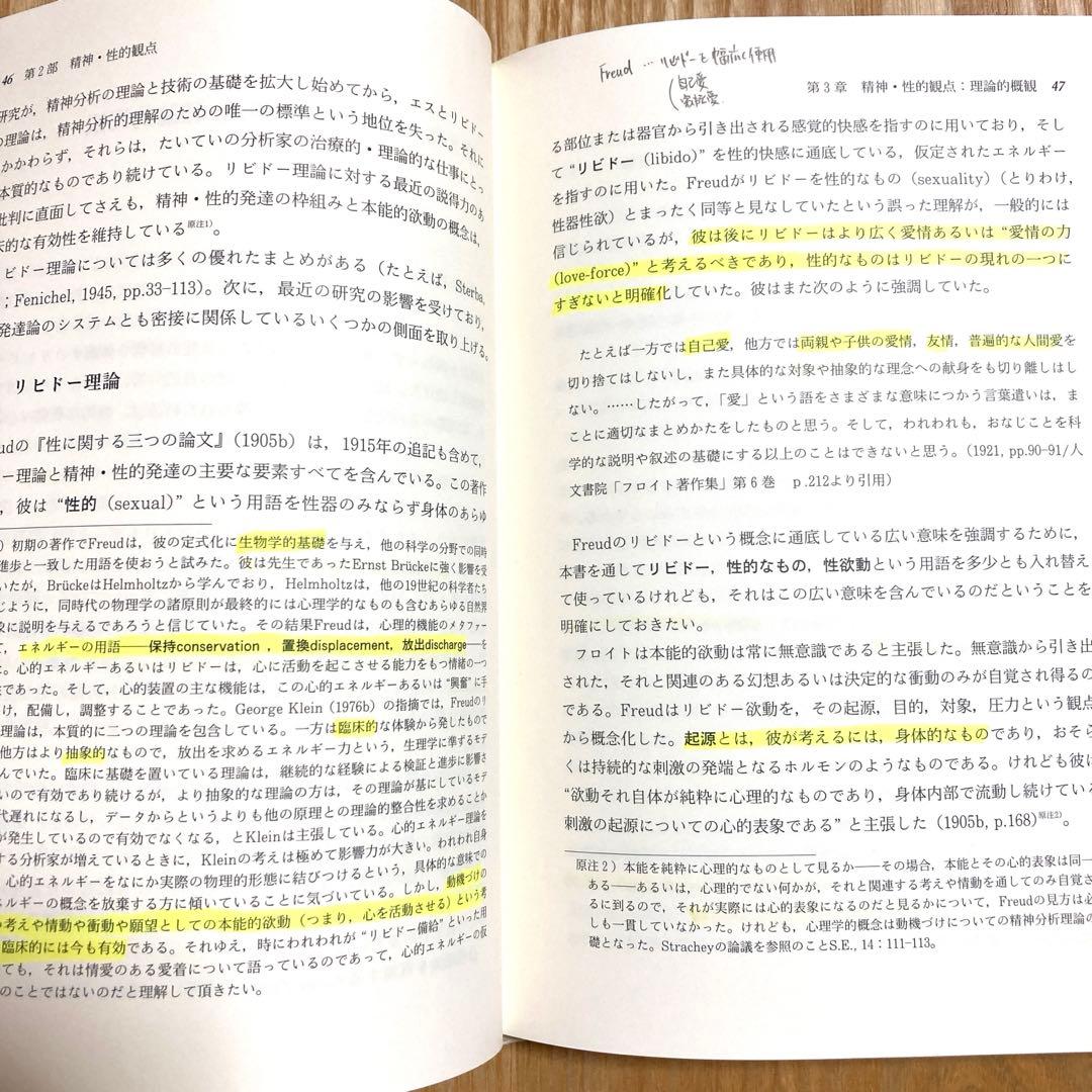 精神分析的発達論の統合 1 タイソン