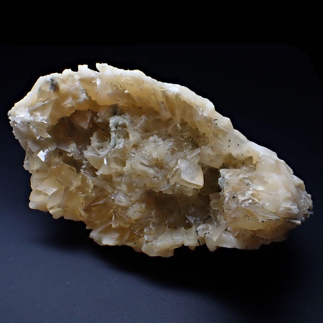 【アメリカ/フロリダ産】カルサイト(方解石)inハマグリ化石