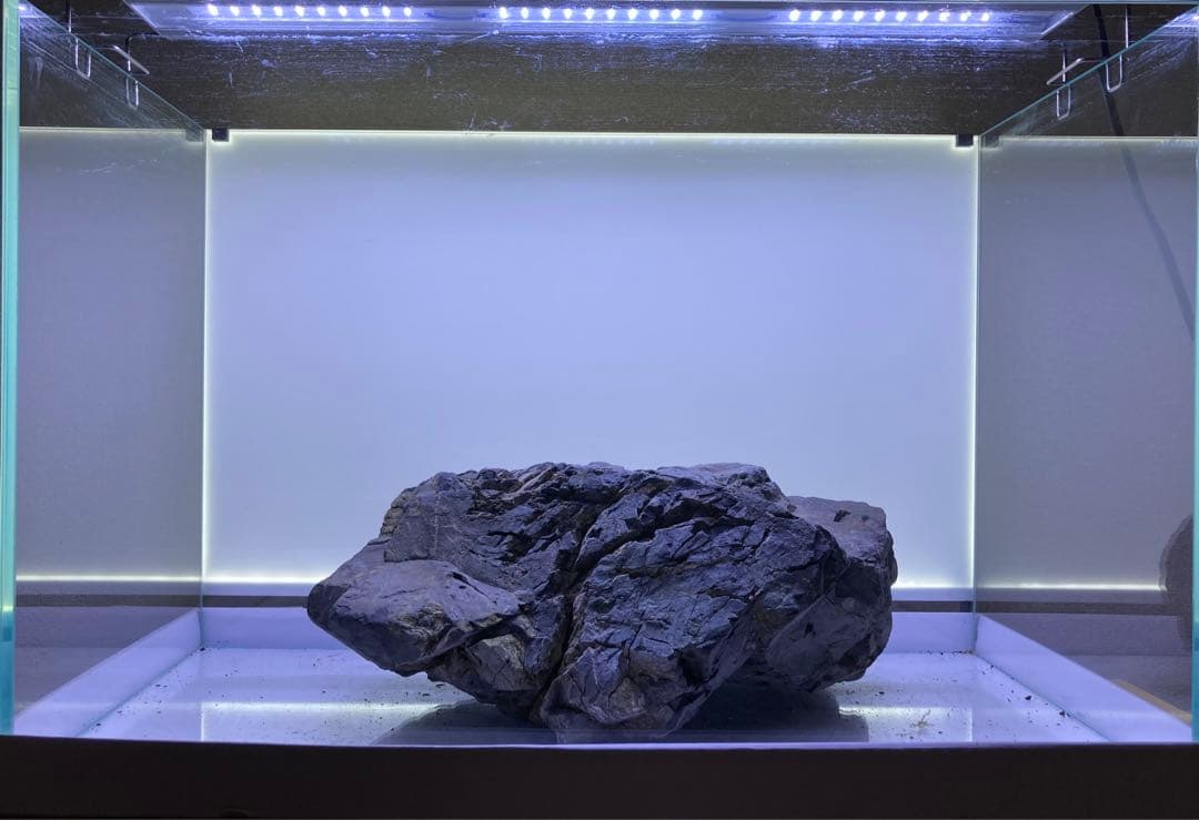 風山石　特大サイズ