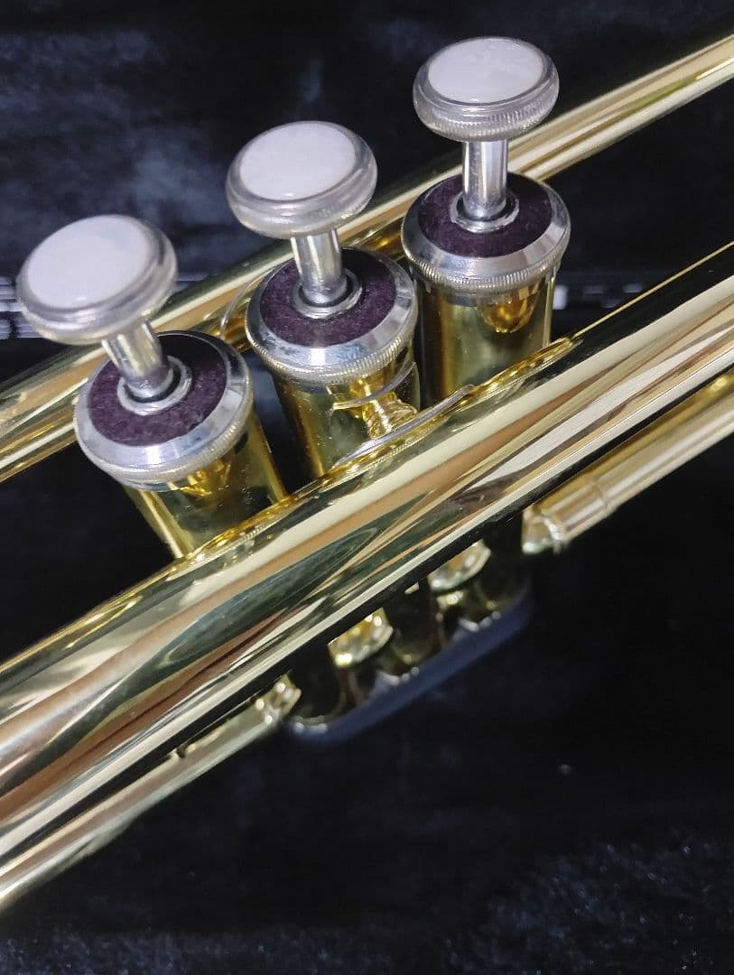 Vinent BACH TR-600 トランペット 本体　極美品！純正ケース付き