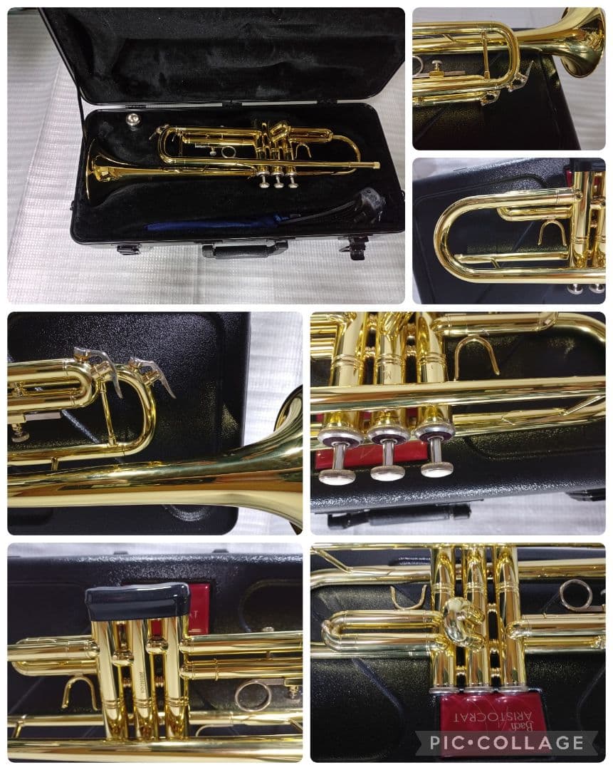 Vinent BACH TR-600 トランペット 本体　極美品！純正ケース付き