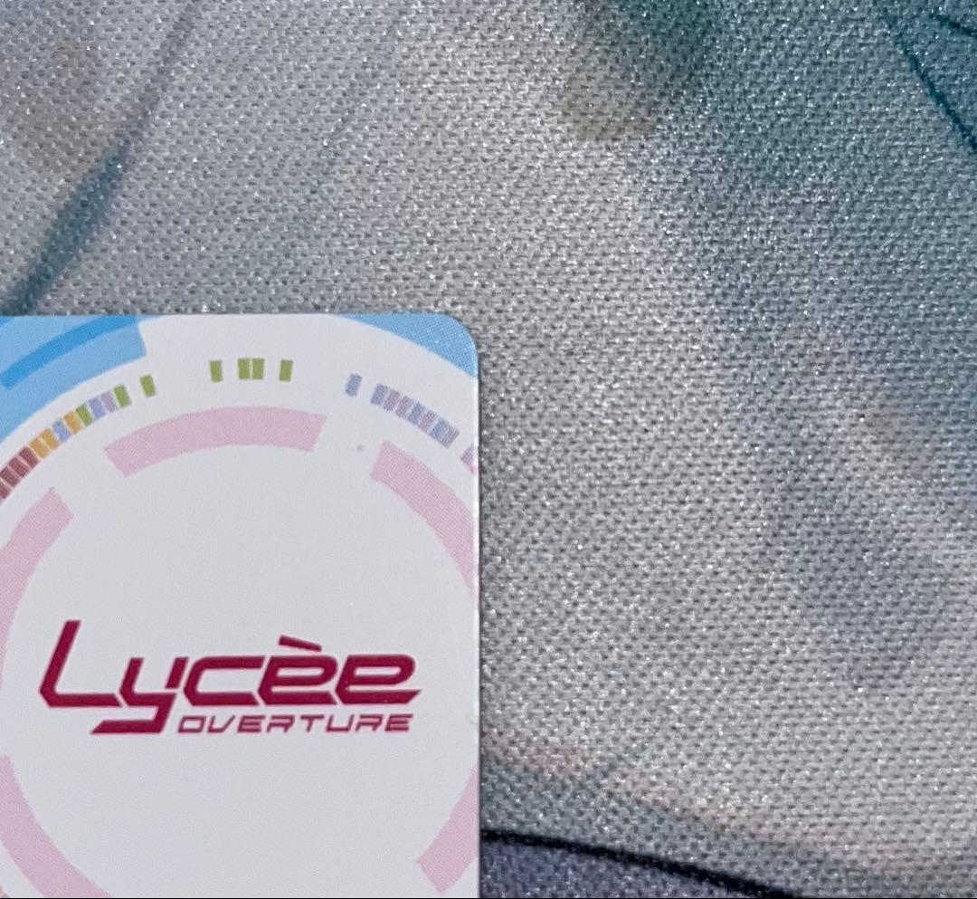 二つの翼　朱雀院椿　ssp おまけ付き