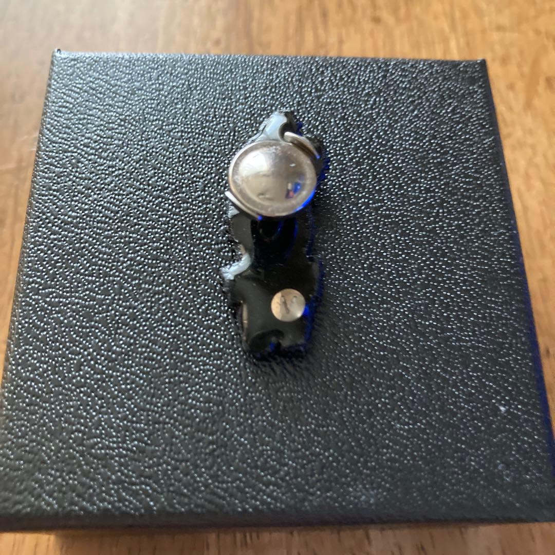 小林モー子　サボテンピン　メゾンデペルル