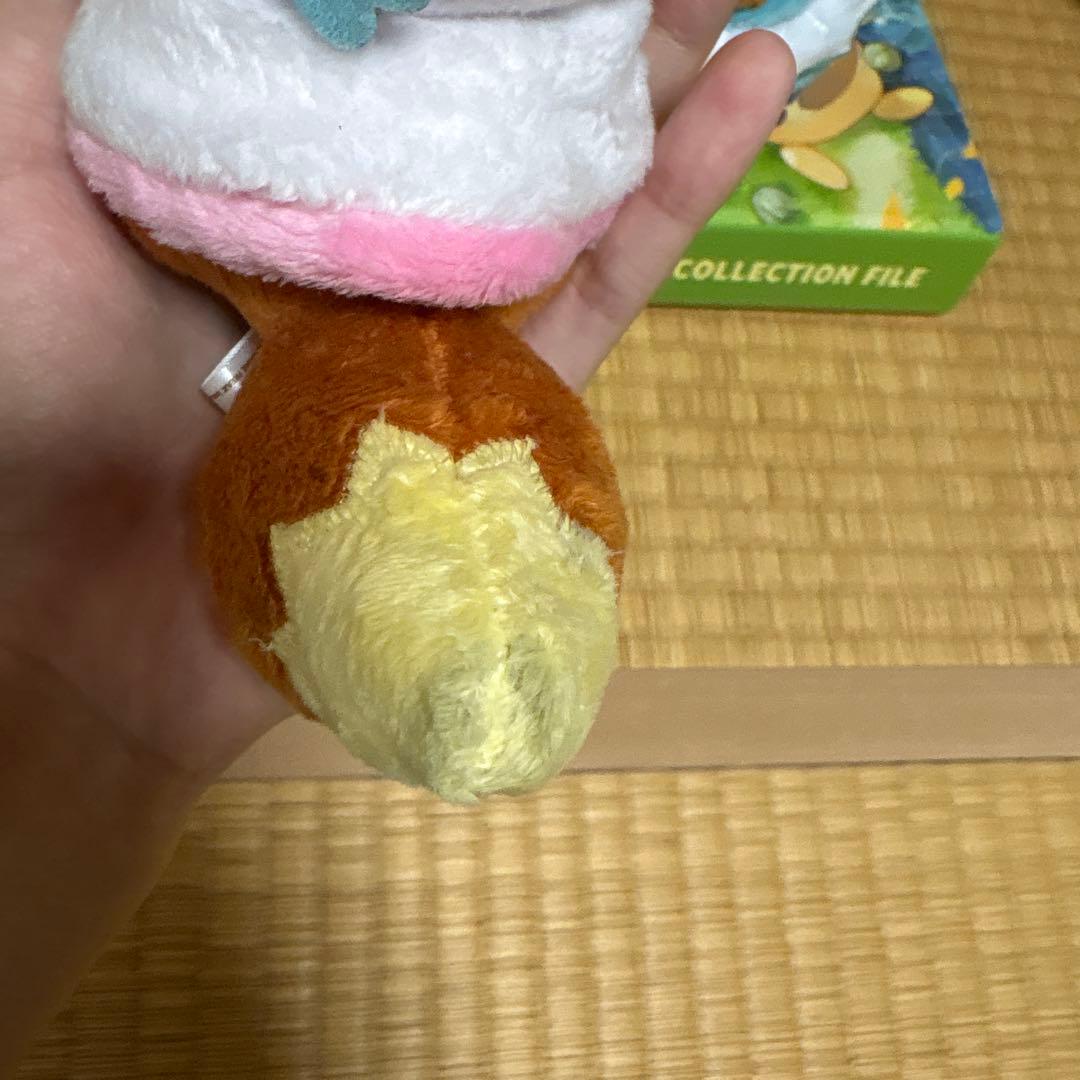 ポンチョを着たイーブイ 全種セット