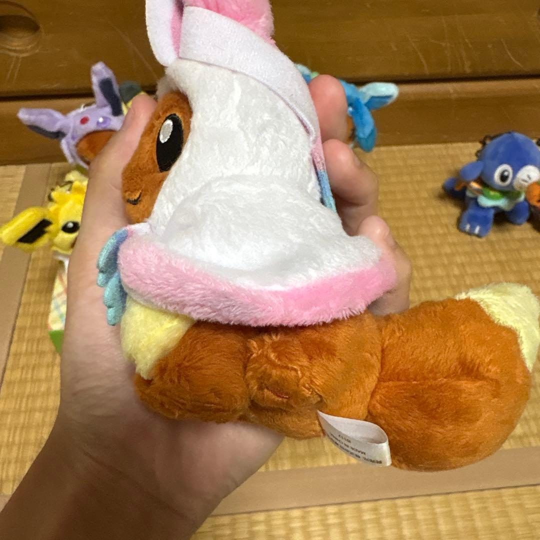 ポンチョを着たイーブイ 全種セット