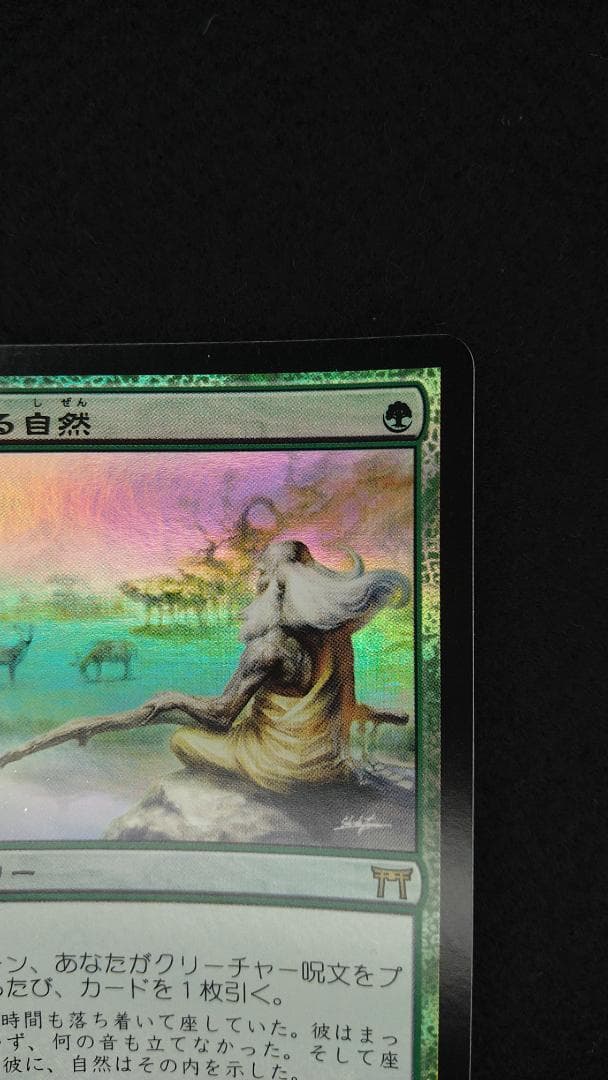 垣間見る自然　CHK　foil　日本語