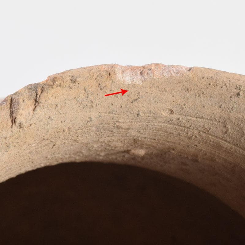 弥生土器　土器　双耳壺　C　8346