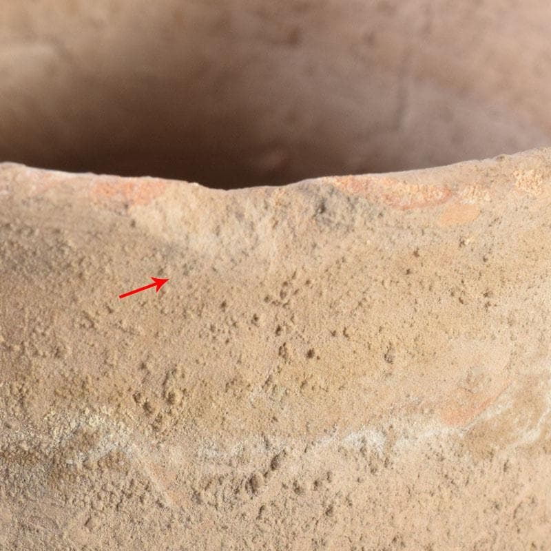 弥生土器　土器　双耳壺　C　8346