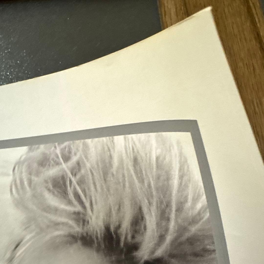 ＸＪＡＰＡＮ１９９６ＤＡＨＬＩＡポスター