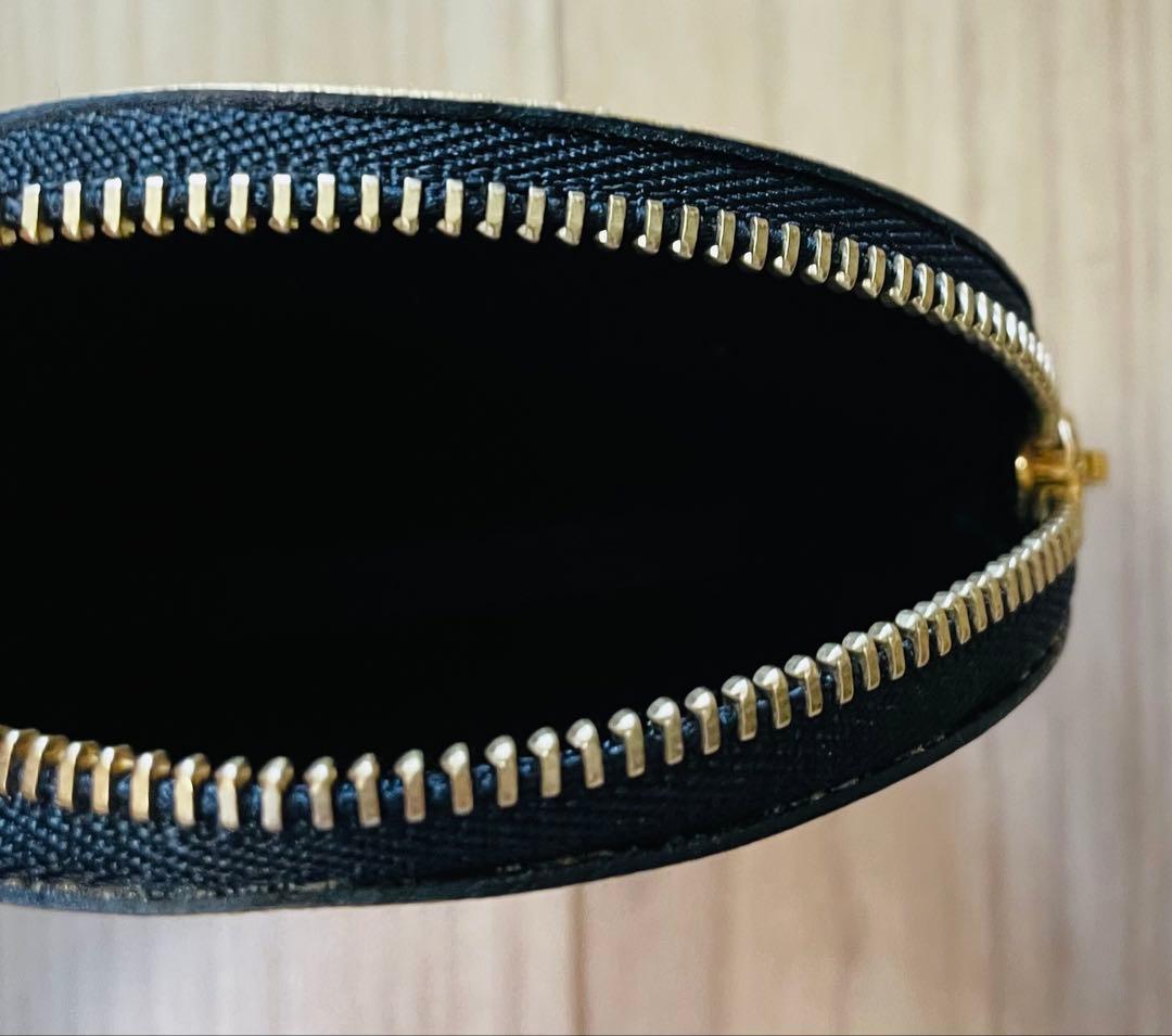 未使用/匿名配送　ロエベ　ケース