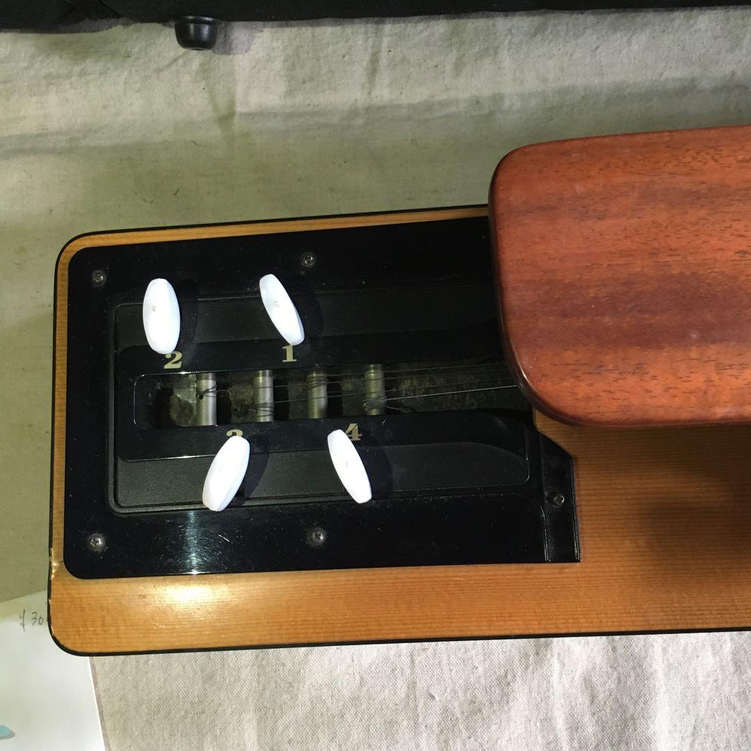 ライリッシュ　大正琴