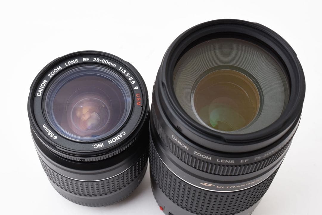 一眼レフカメラ Canon EOS 5D mark III標準&望遠レンズセット