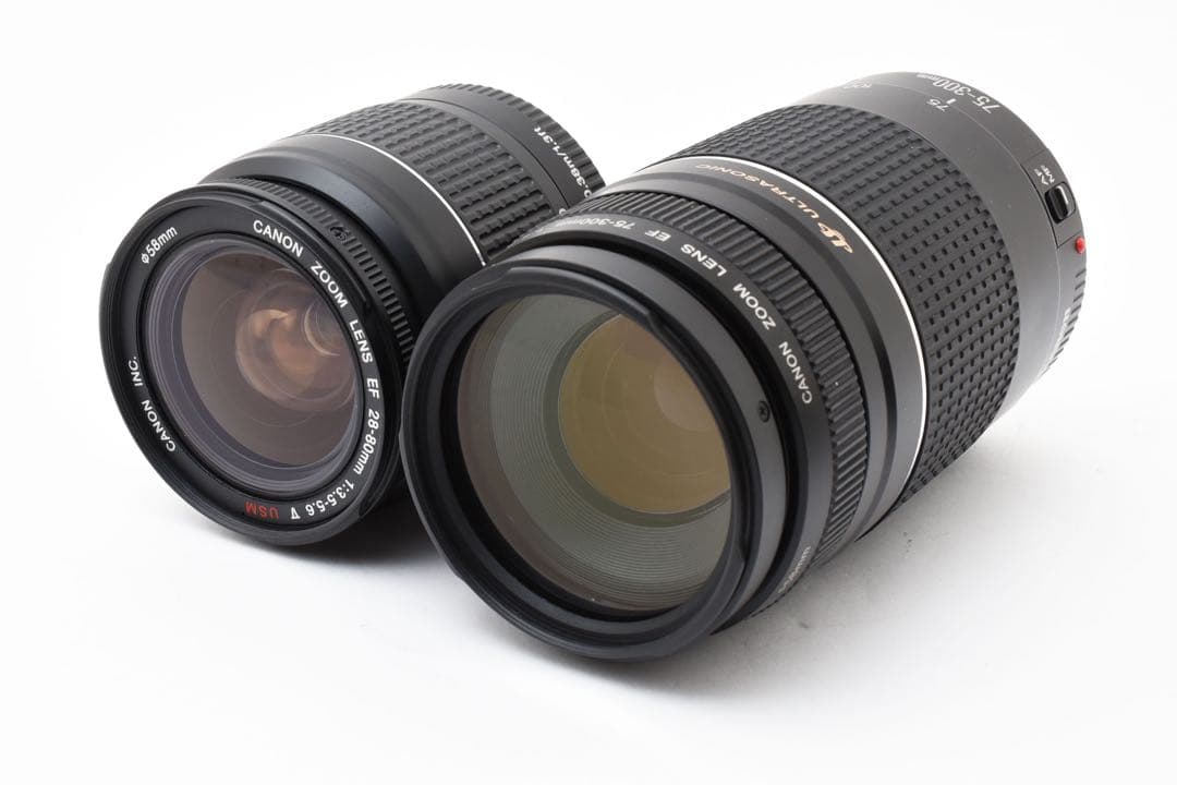 一眼レフカメラ Canon EOS 5D mark III標準&望遠レンズセット