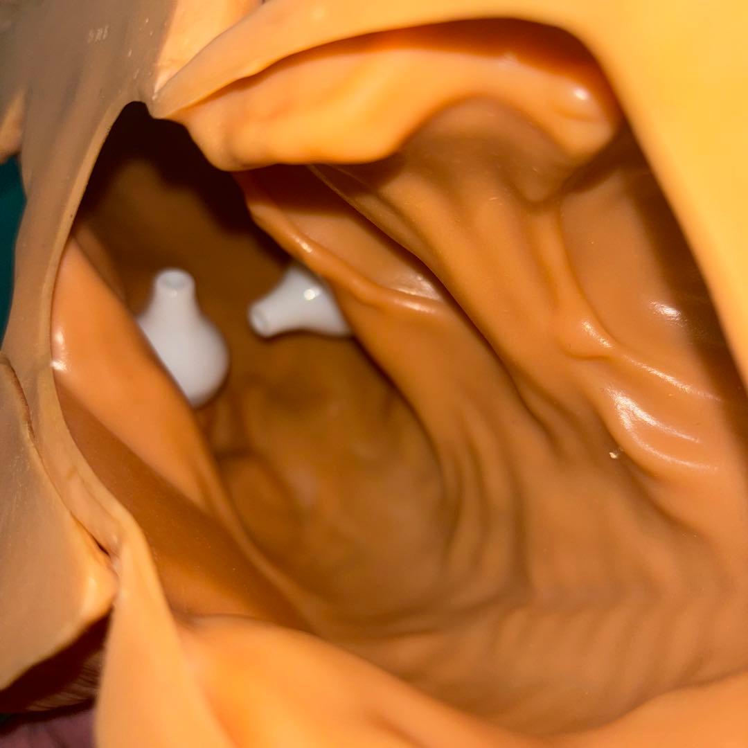 スクリーミングマッドジョージ foot dog 足犬 ソフビ