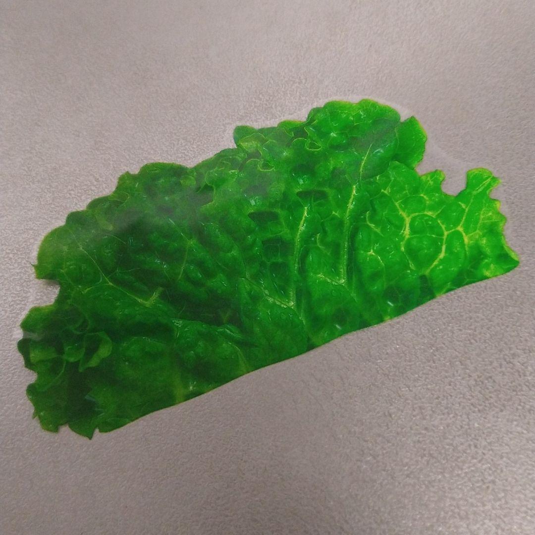 グルメシート⑤