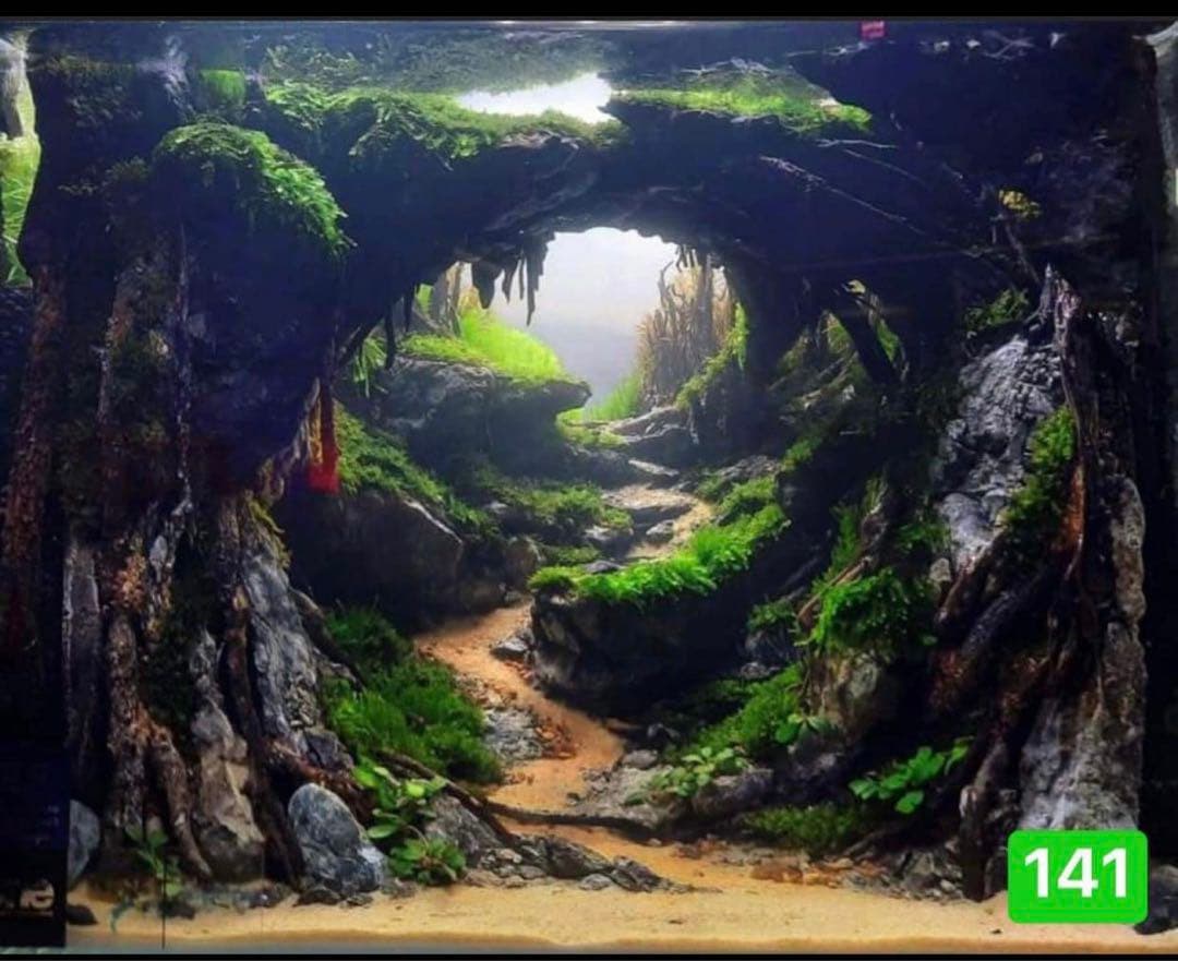 TTD 1416 【⭐︎ スレイダー様⭐︎】【美品・数量限定】