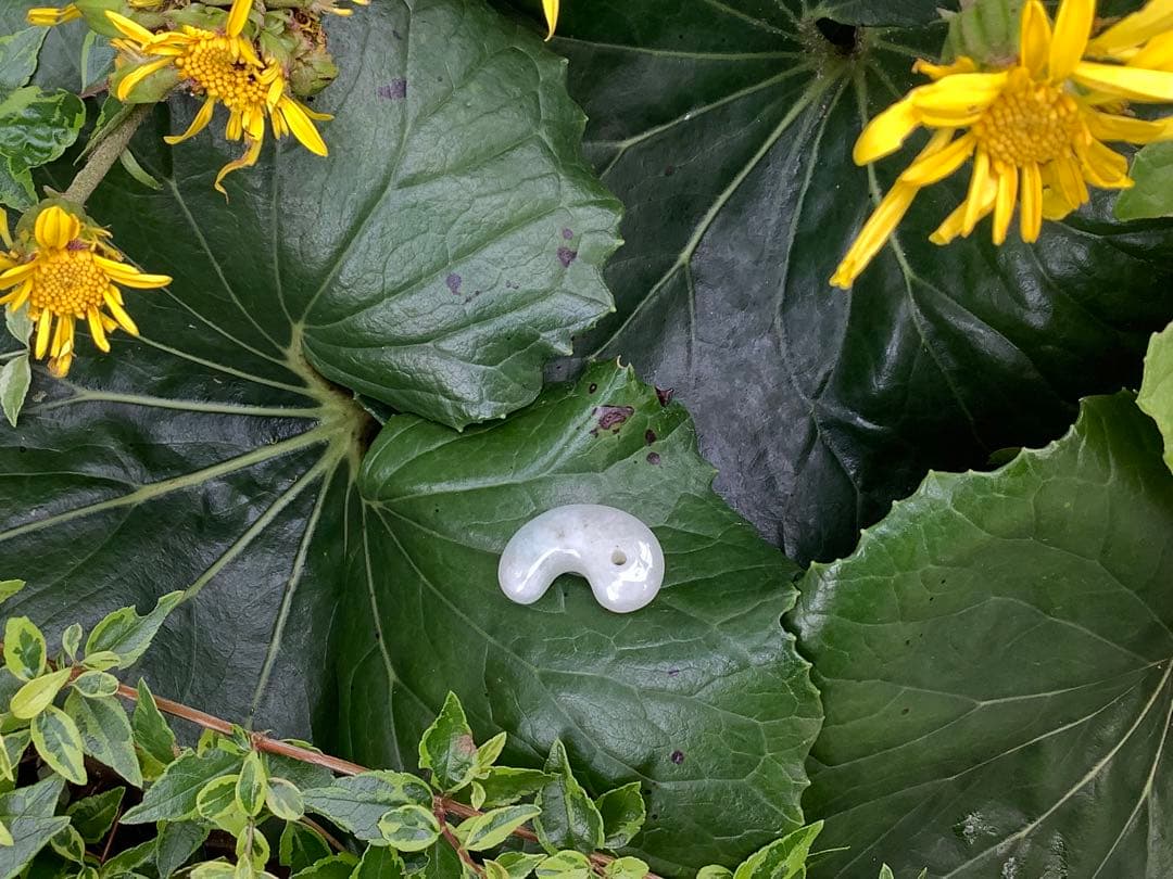 ✳神様からの贈り物‼️ 勾玉　糸魚川翡翠ジェダイト本物をお身近に　最安値　鑑別…