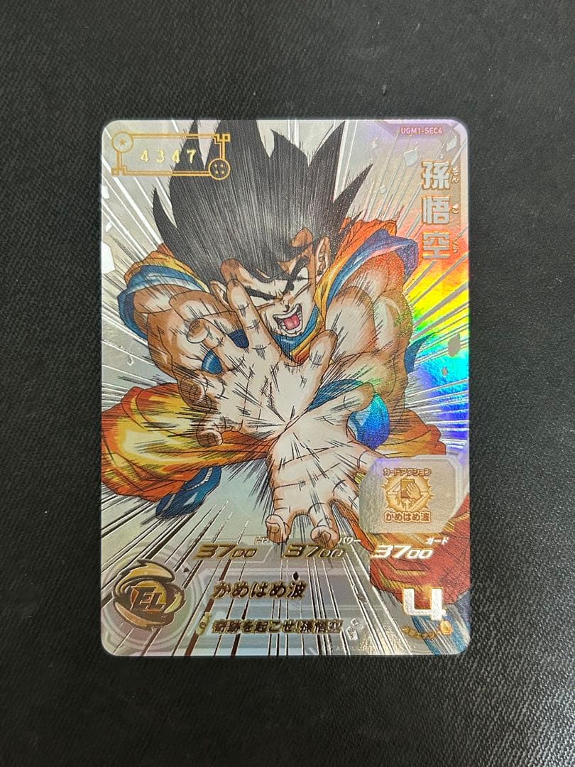 UGM1-sec4 孫悟空 4347