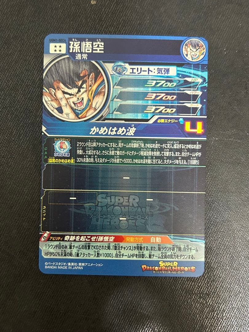 UGM1-sec4 孫悟空 4347