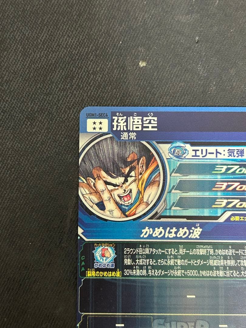 UGM1-sec4 孫悟空 4347