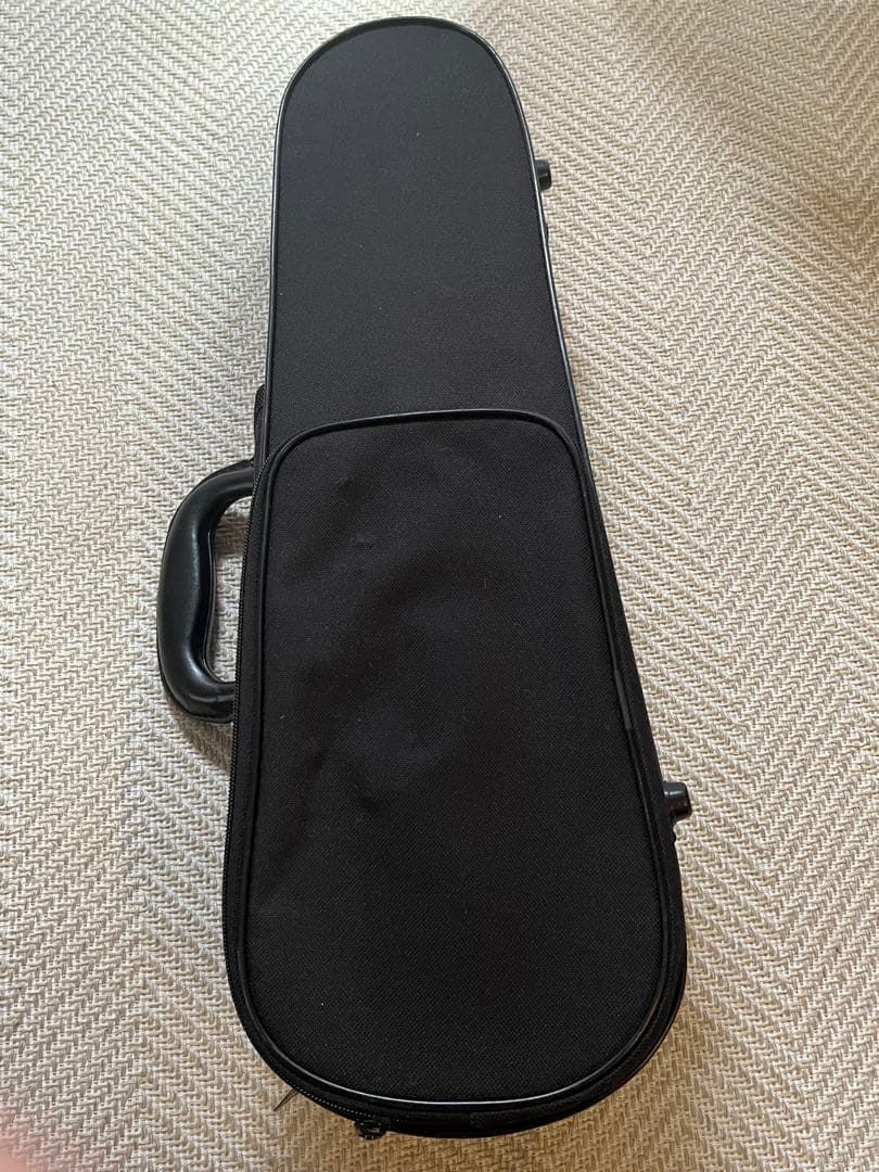 カルロジョルダーノVS1 バイオリン1/10 （ケース、肩当て、松脂付き）