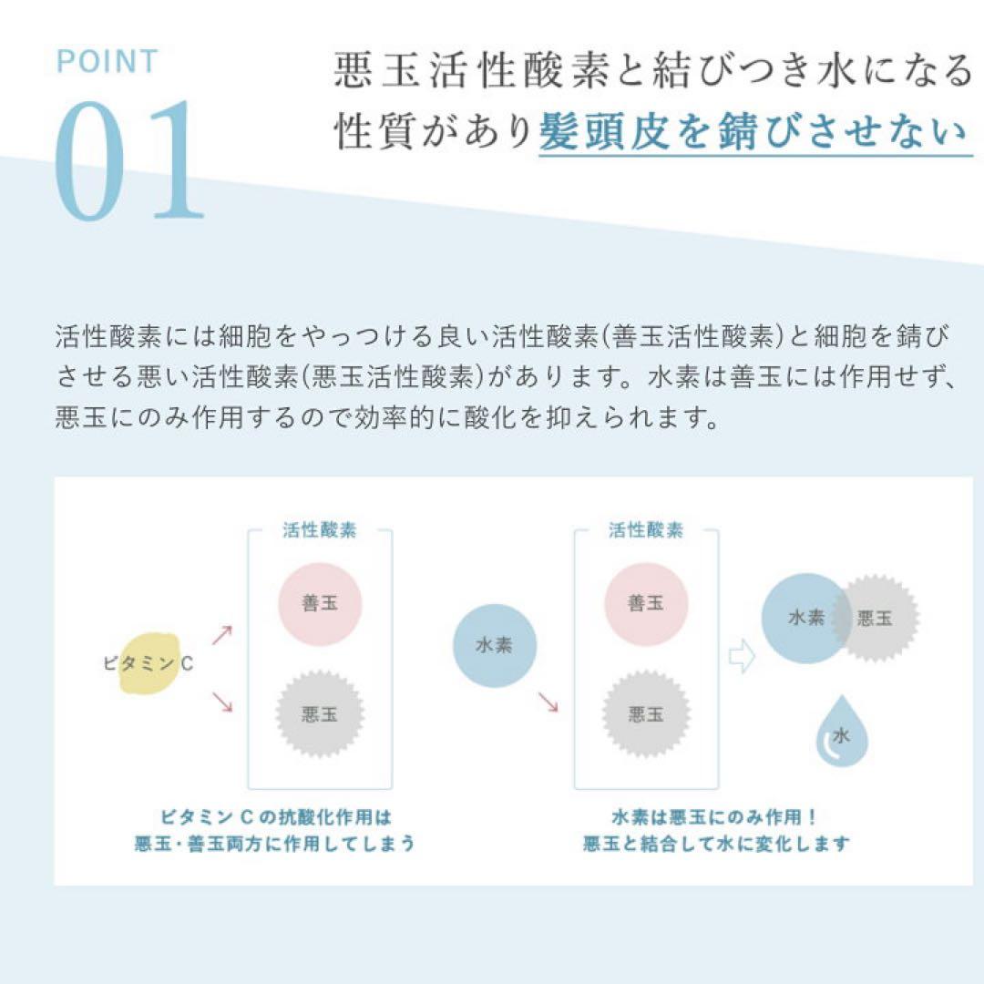 2026年始セール！ストリエクスチェンジプラス H2 シャンプー詰め替え2個！