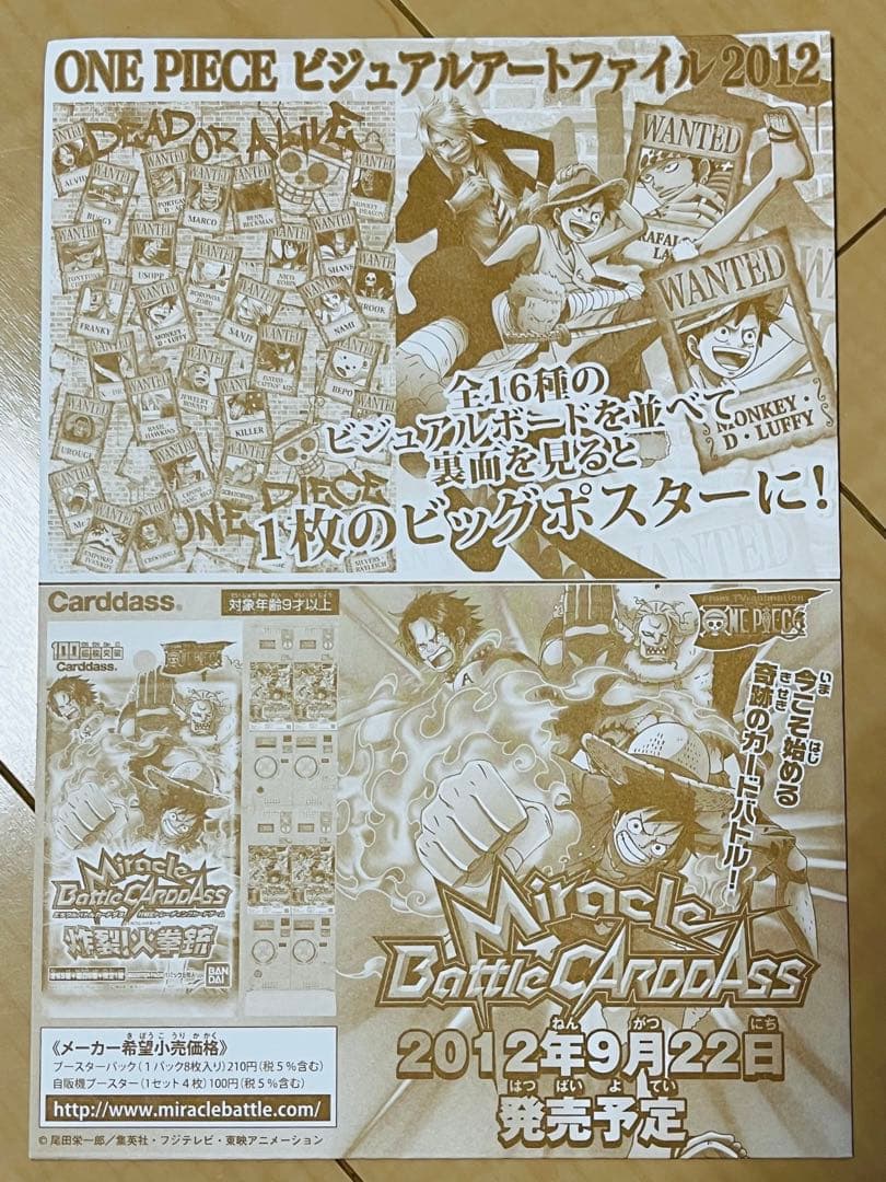 ワンピース ビジュアルアートファイル 2012 ONE PIECE ルフィ レア