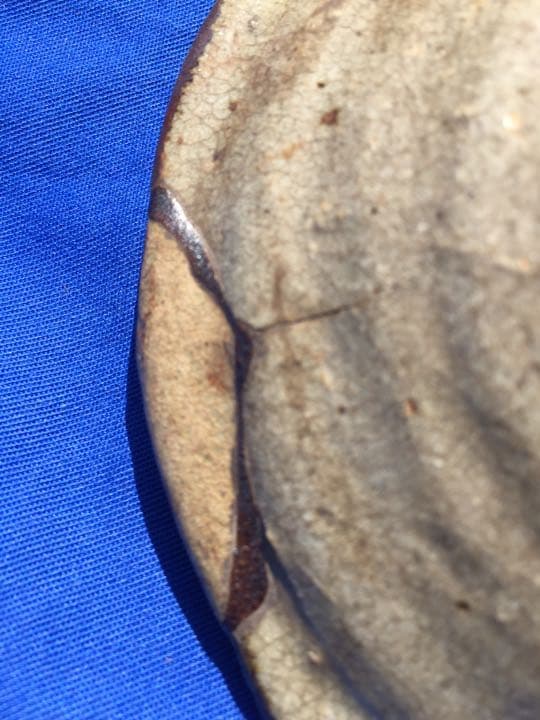 古唐津 古絵唐津の小皿 海老の図柄はあまりない桃山時代