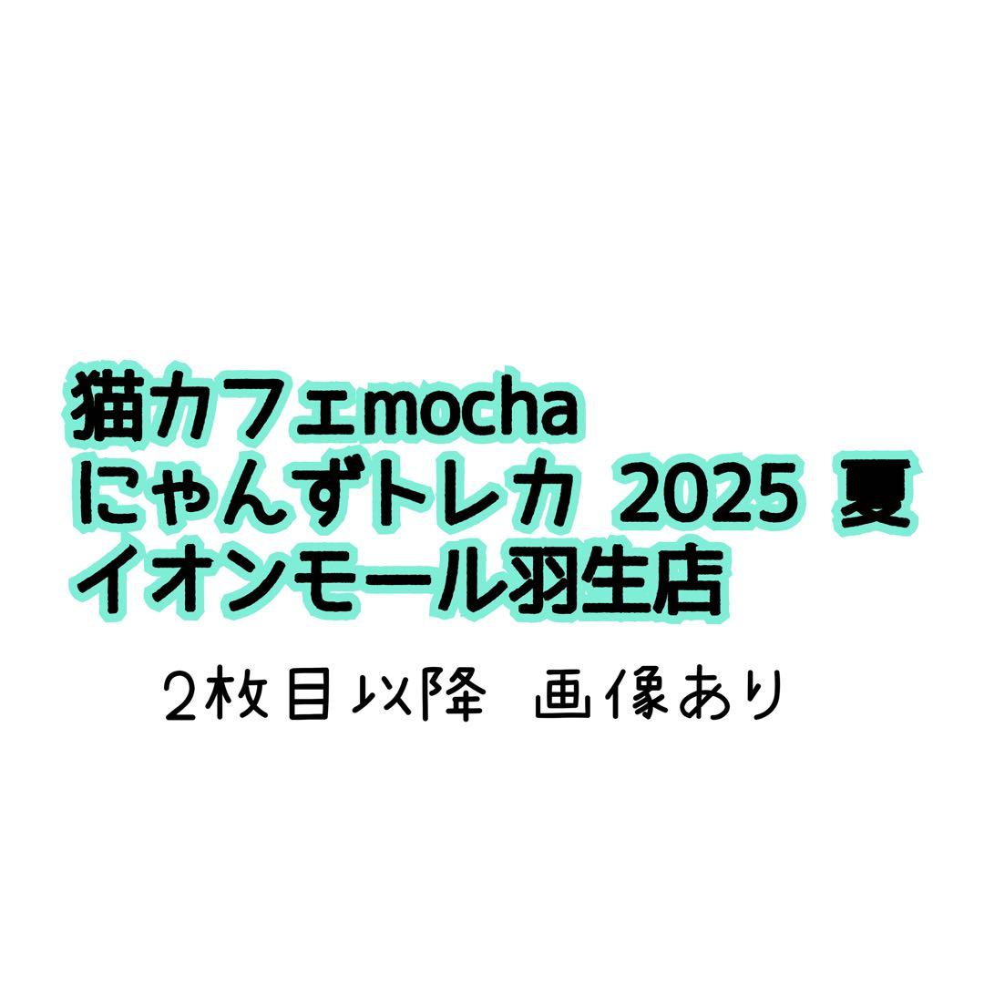 【猫カフェMOCHA 】イオンモール羽生店 2025年 夏Summer トレカ
