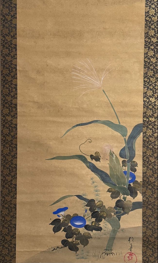 酒井抱一筆　絹本肉筆　朝顔　沒骨法　掛軸　送料込み250824