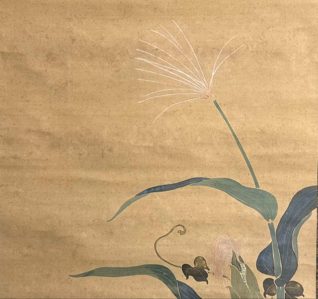 酒井抱一筆　絹本肉筆　朝顔　沒骨法　掛軸　送料込み250824