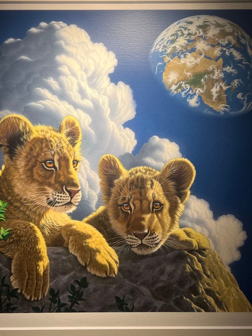 SCHIM SCHIMMEL【ライトオブホーム】395限定