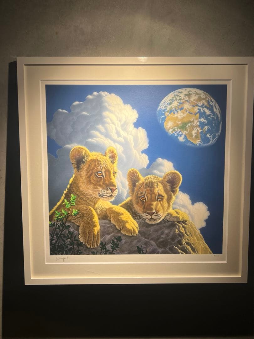 SCHIM SCHIMMEL【ライトオブホーム】395限定