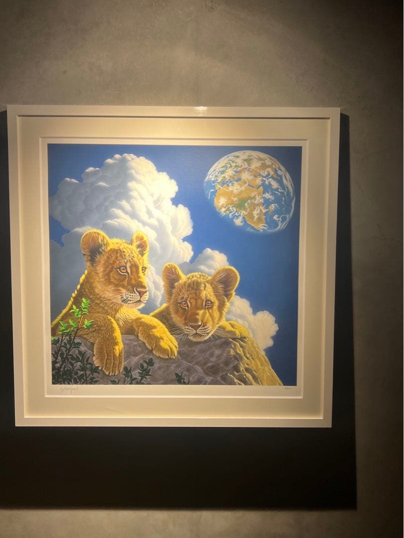 SCHIM SCHIMMEL【ライトオブホーム】395限定