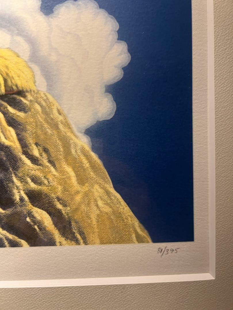 SCHIM SCHIMMEL【ライトオブホーム】395限定