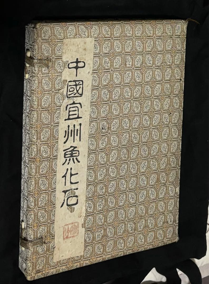 中国宣州魚化石