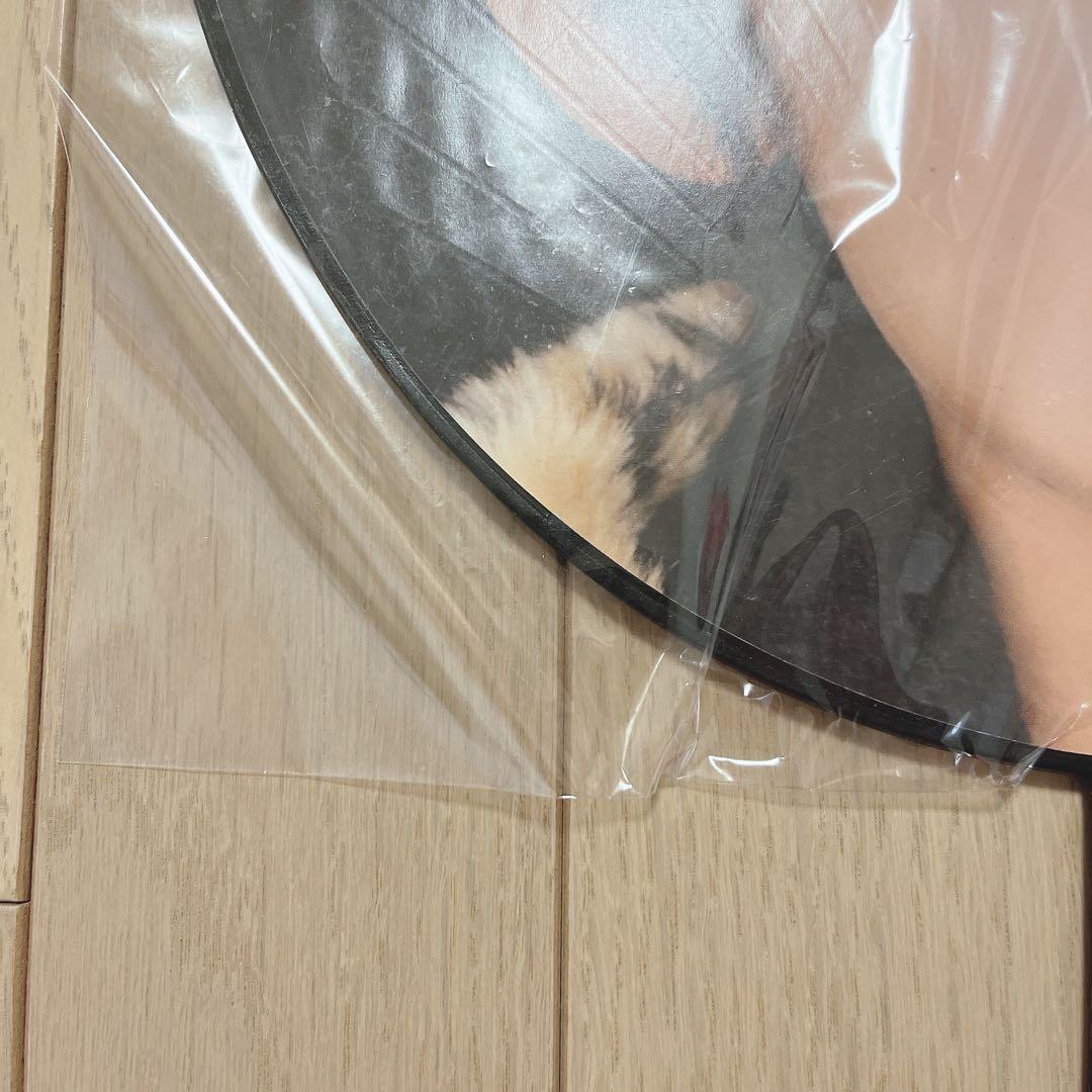 【美品】向井康二 ジャンボうちわ 2008 城ホ