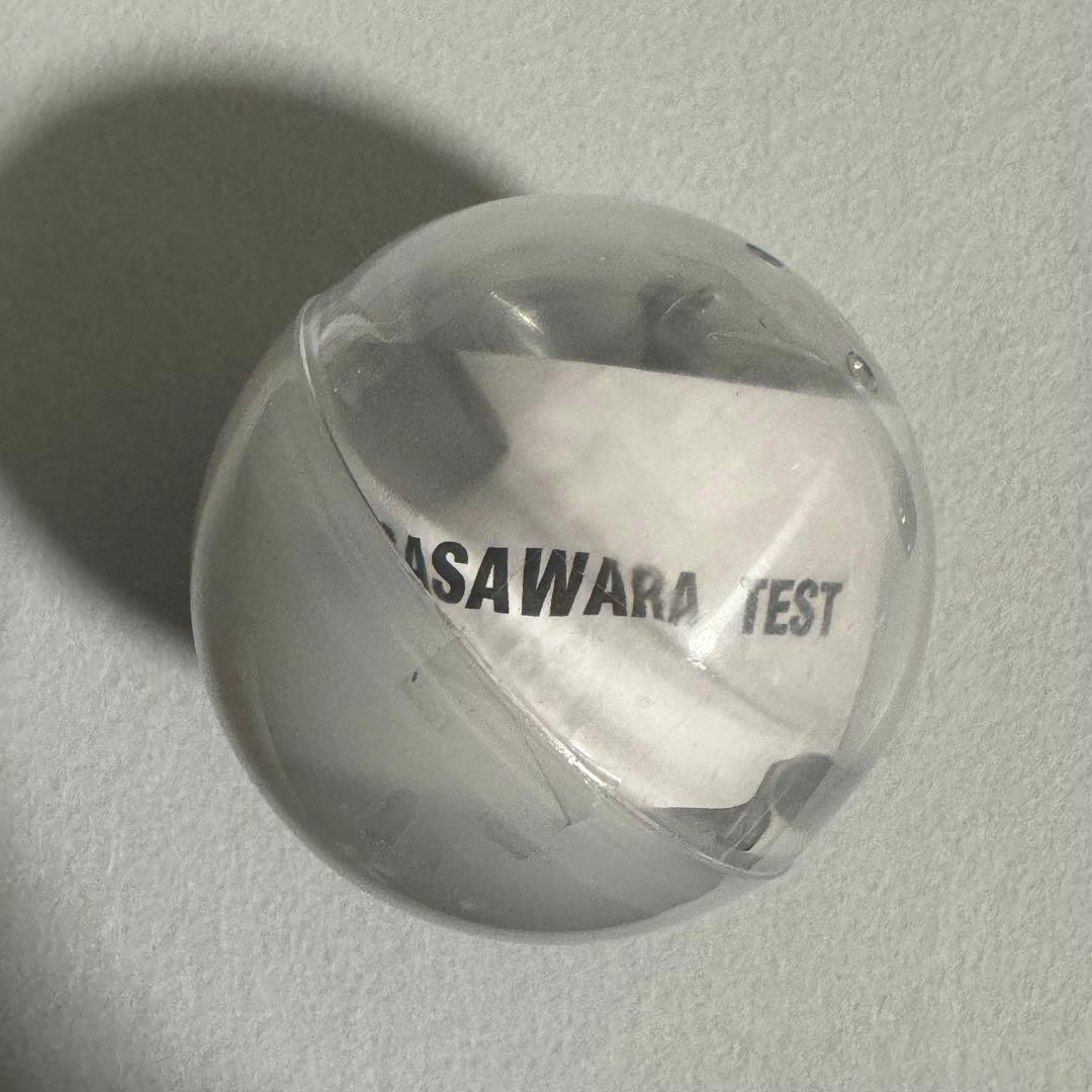 小笠原　ザトウクジラ　テストショット　ネイチャーテクニカラー