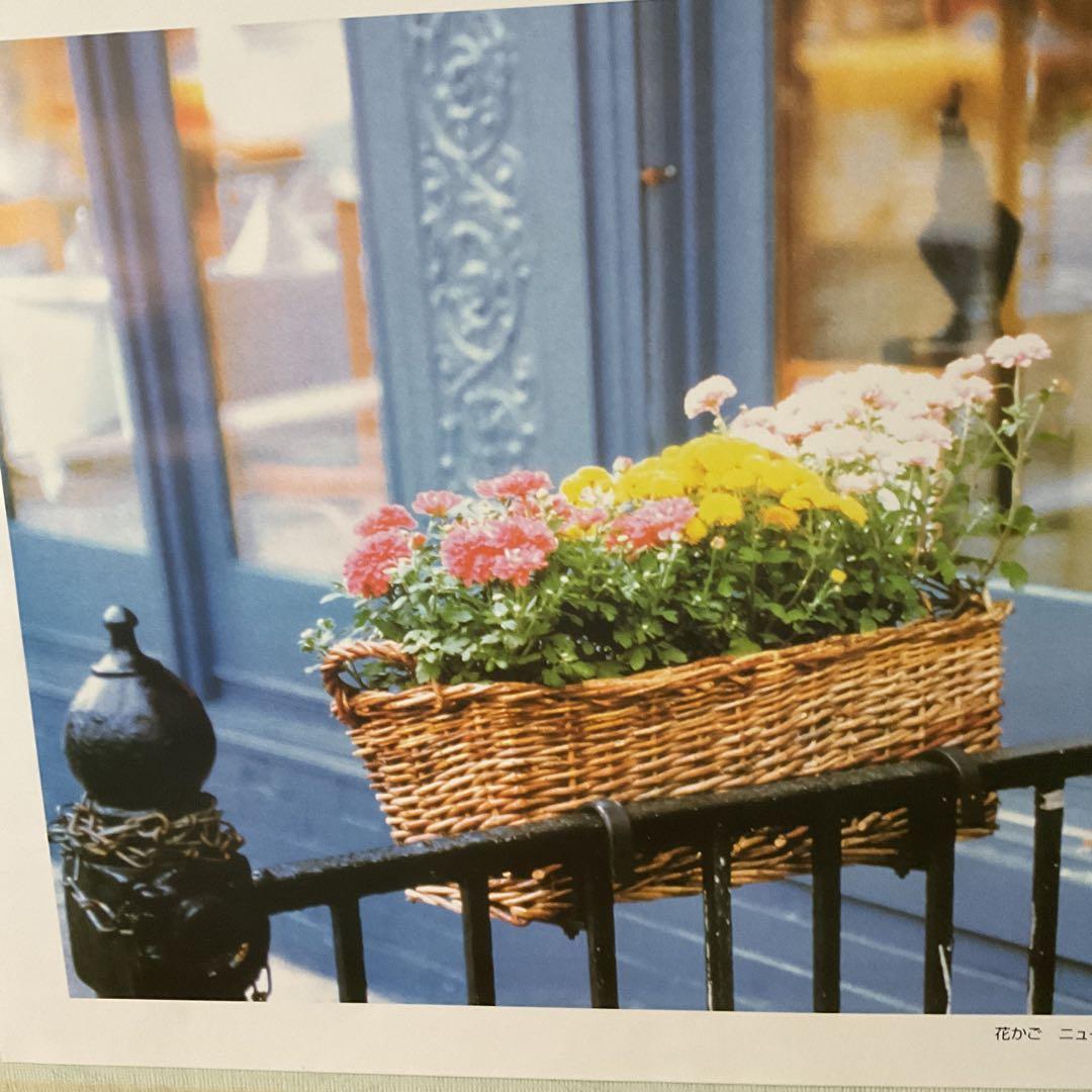 長谷川浩一 アートの旅より 「花籠」 ニューヨーク 世界文化フォト