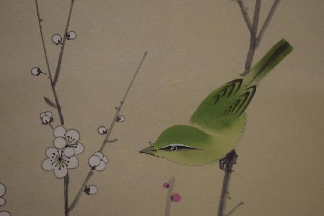 真作/斎藤翠紅/紅白梅鴬図/桐共箱付/布袋屋掛軸HI-911