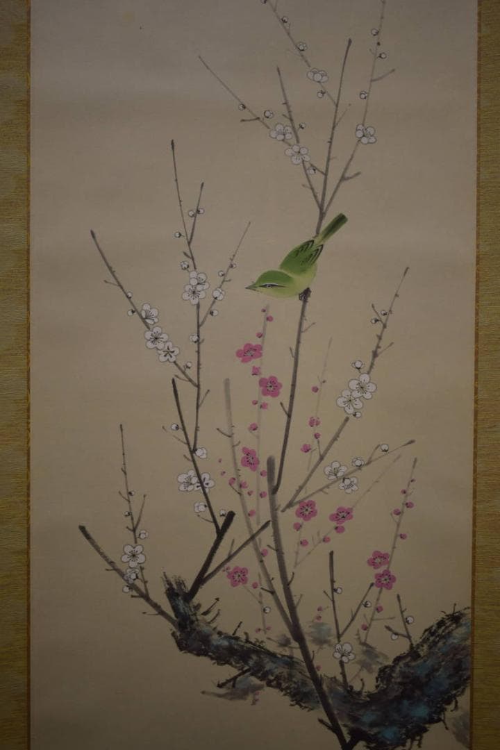 真作/斎藤翠紅/紅白梅鴬図/桐共箱付/布袋屋掛軸HI-911