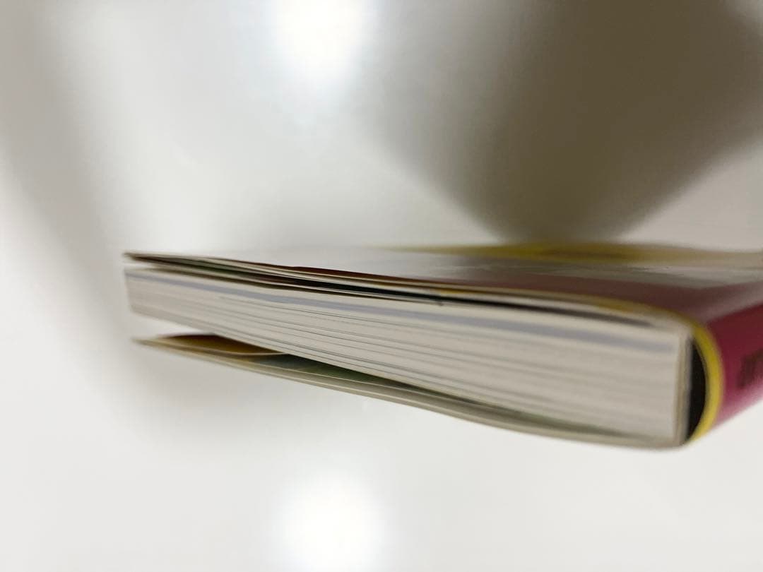 ポケモンカードイラストコレクション本おきがえピカチュウレックウザ未開封カード2枚