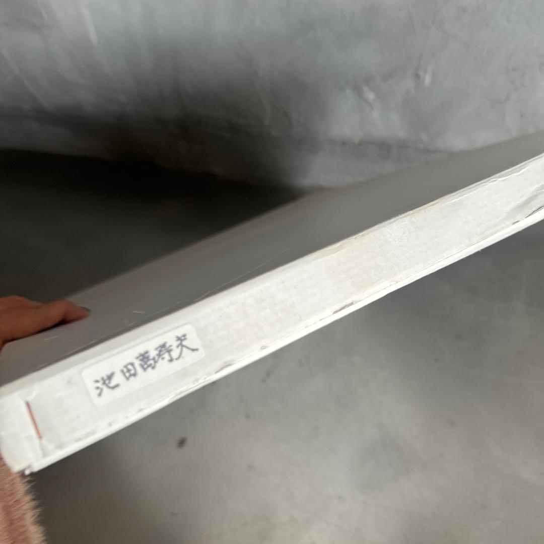 瞬間的お値下げ‼️池田満寿夫　リトグラフ　海と女性 黒フレーム