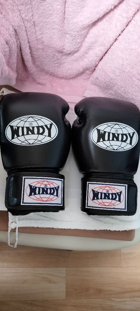 WINDY ボクシンググローブ 10オンス 未使用品