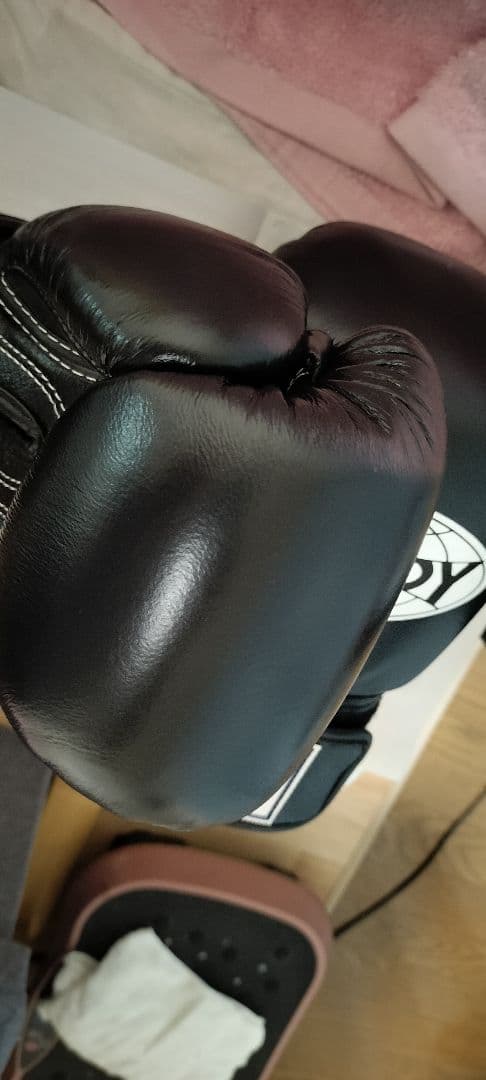 WINDY ボクシンググローブ 10オンス 未使用品
