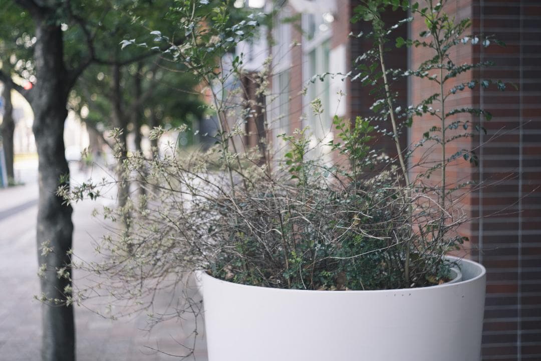 tadashi様　小西六 HEXAR 50mm F3.5 オールドレンズ