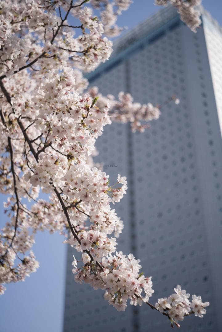 tadashi様　小西六 HEXAR 50mm F3.5 オールドレンズ